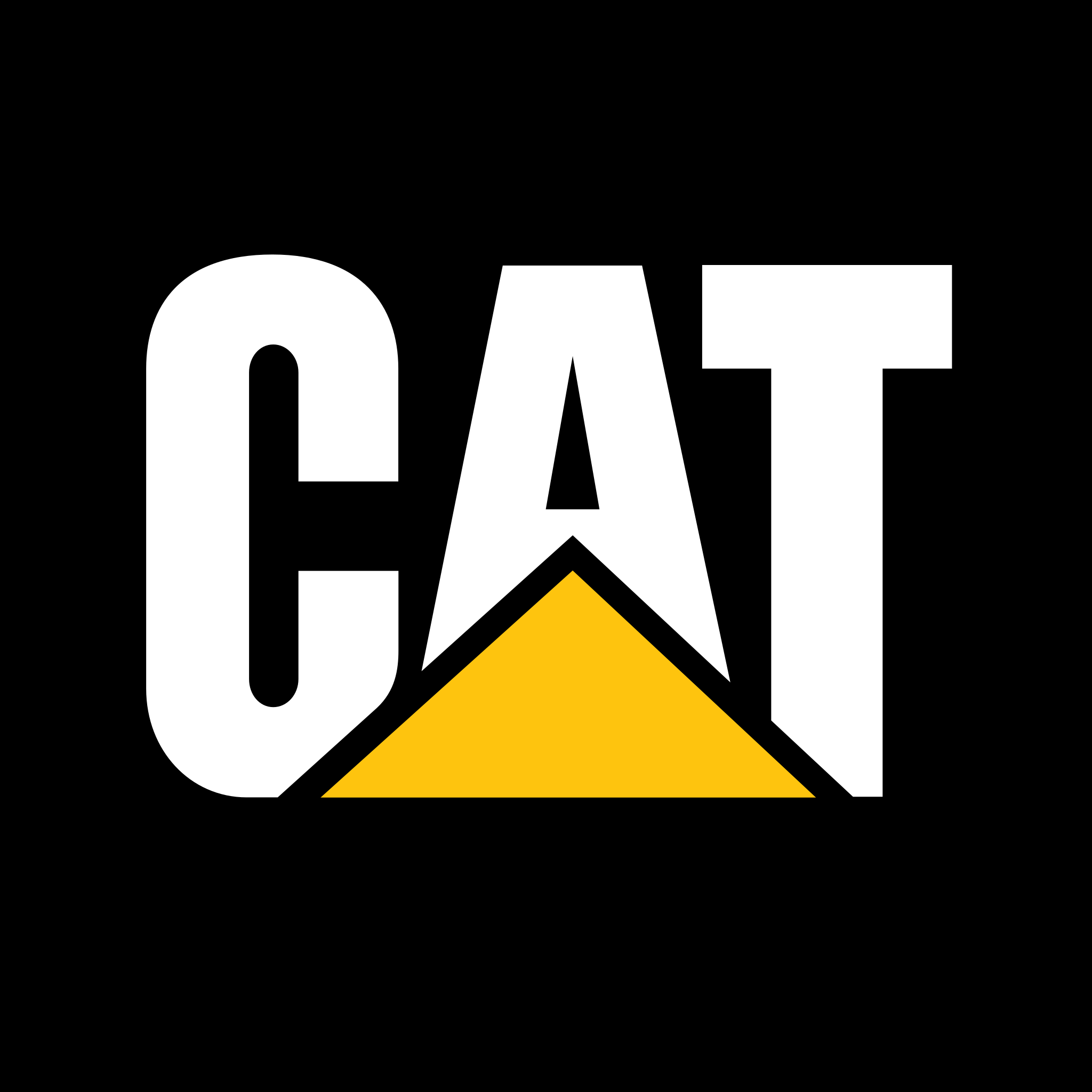 Motores CATERPILLAR